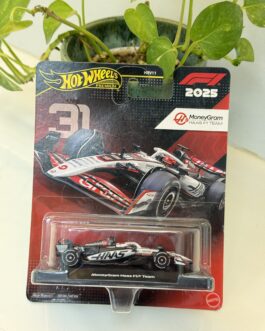 Hot Wheels Race Team MoneyGram Haas F1 Team (#31)